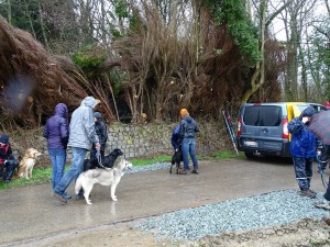 sized 1024 Lentewandeling 2015 027